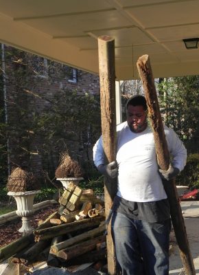 log removal in falls church, va